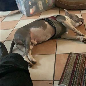 Meet your Posher, Terrell